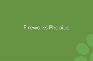 Fireworks-Phobias