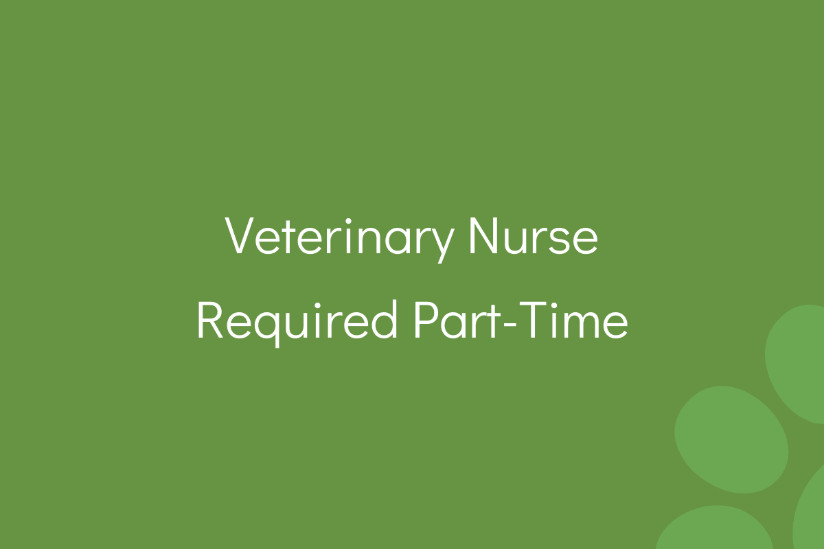 Veterinary-Nurse-Required-Part-Time