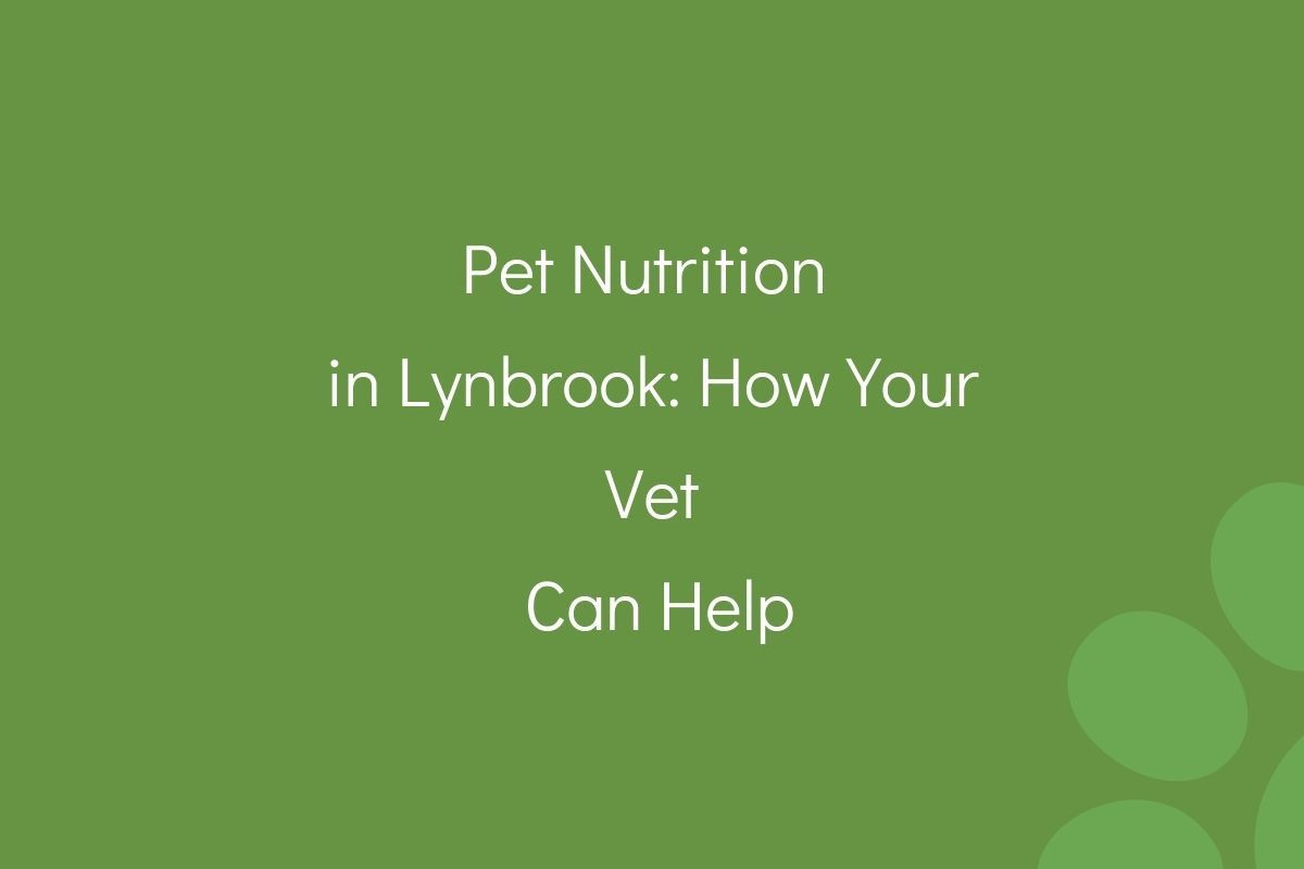 Pet-Nutrition-in-Lynbrook_-How-Your-Vet-Can-Help