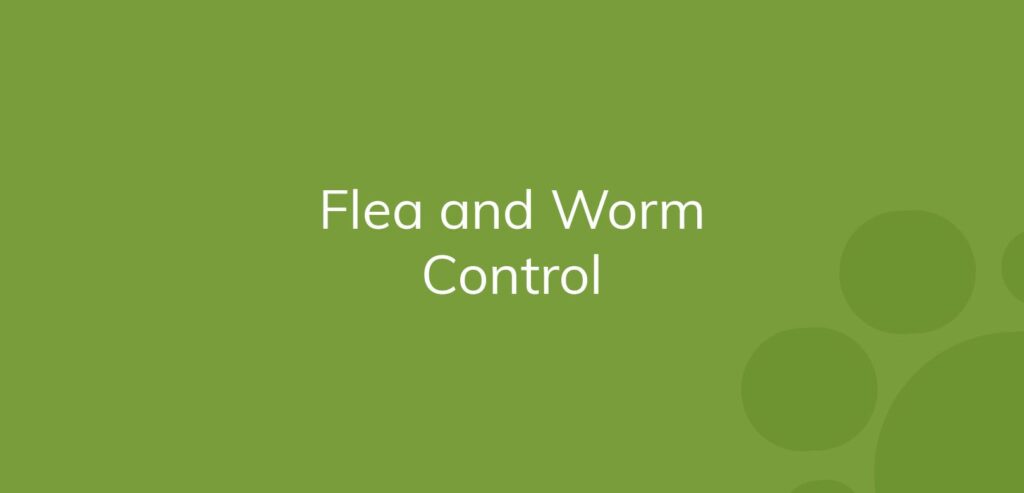 Text "Flea and Worm Control" on a green background with bubble designs.
