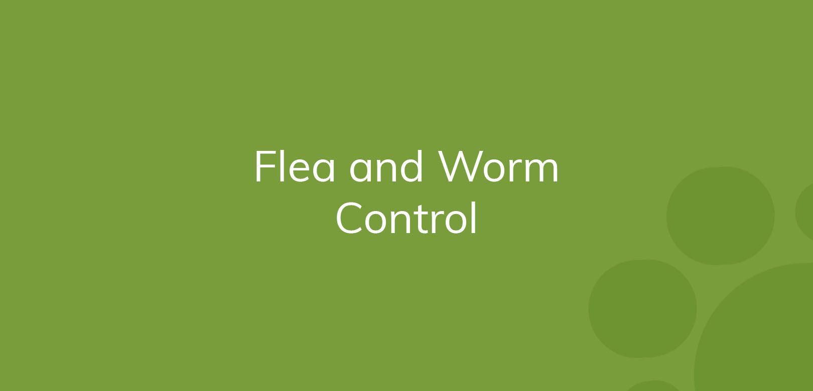Text "Flea and Worm Control" on a green background with bubble designs.