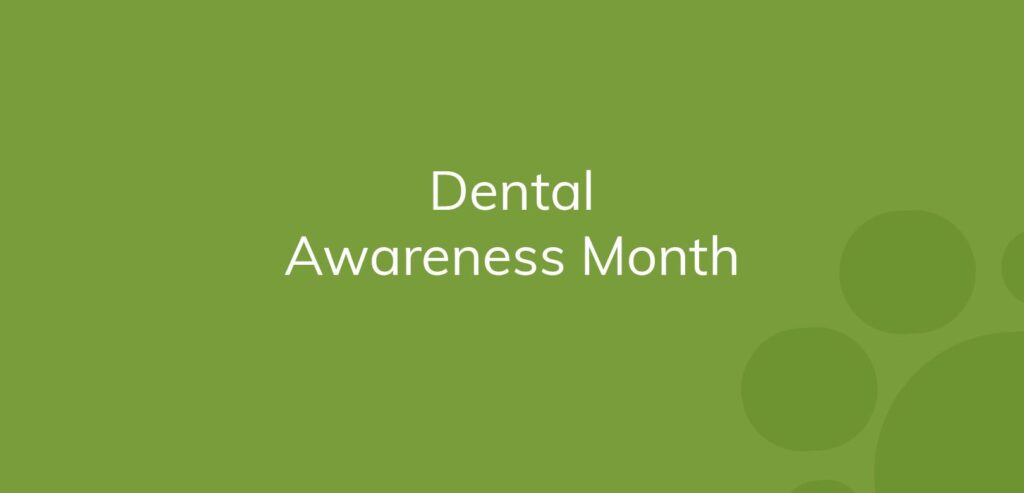Text on a green background reads "Dental Awareness Month."