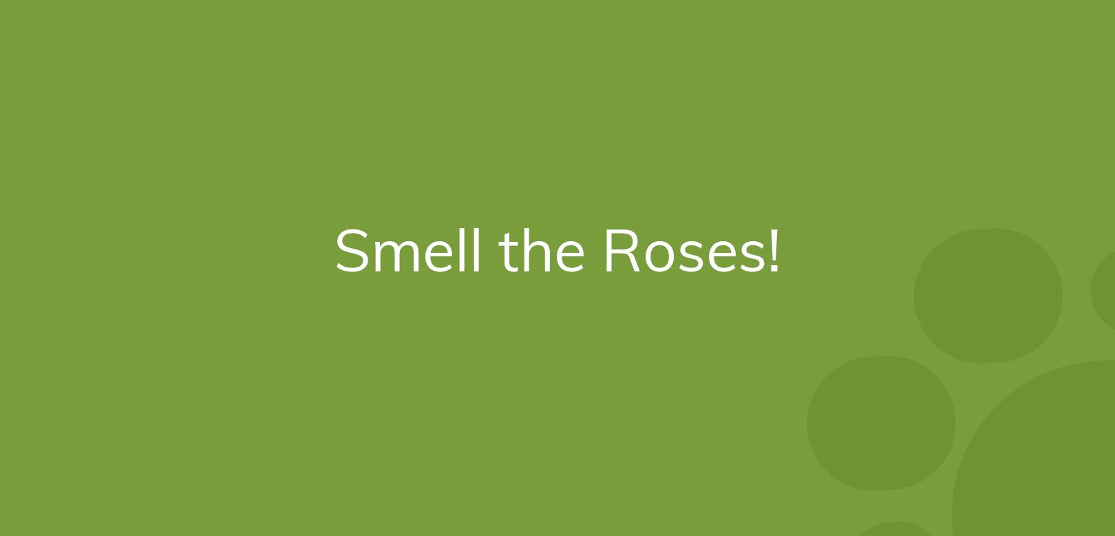 Green background with the text "Smell the Roses!" in white.