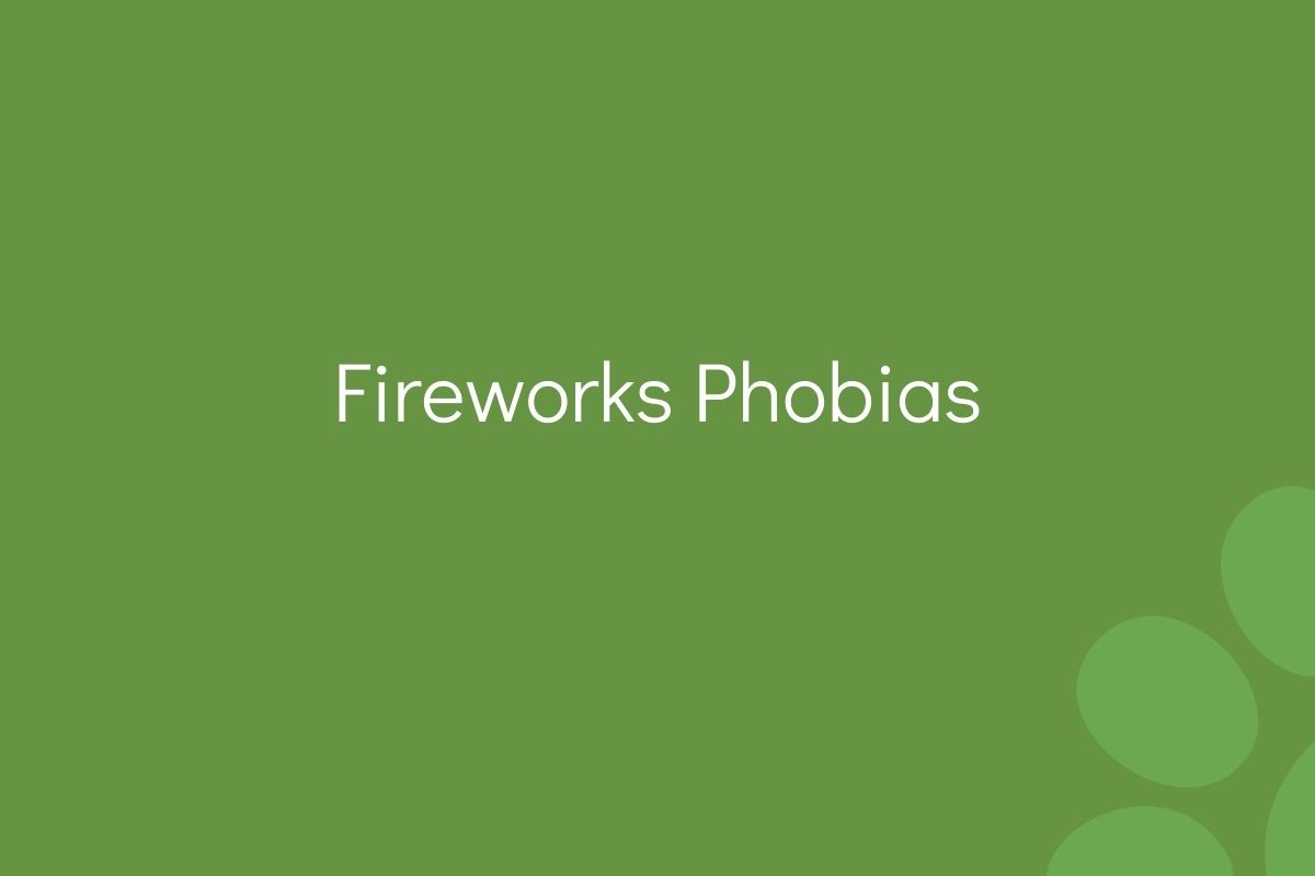 Text "Fireworks Phobias" on a plain green background.