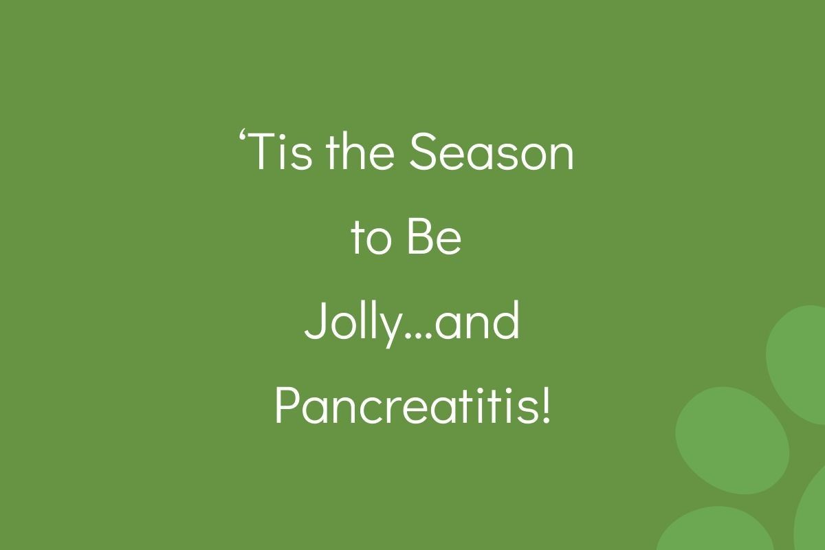 Text on green background reads "‘Tis the Season to Be Jolly...and Pancreatitis!"
