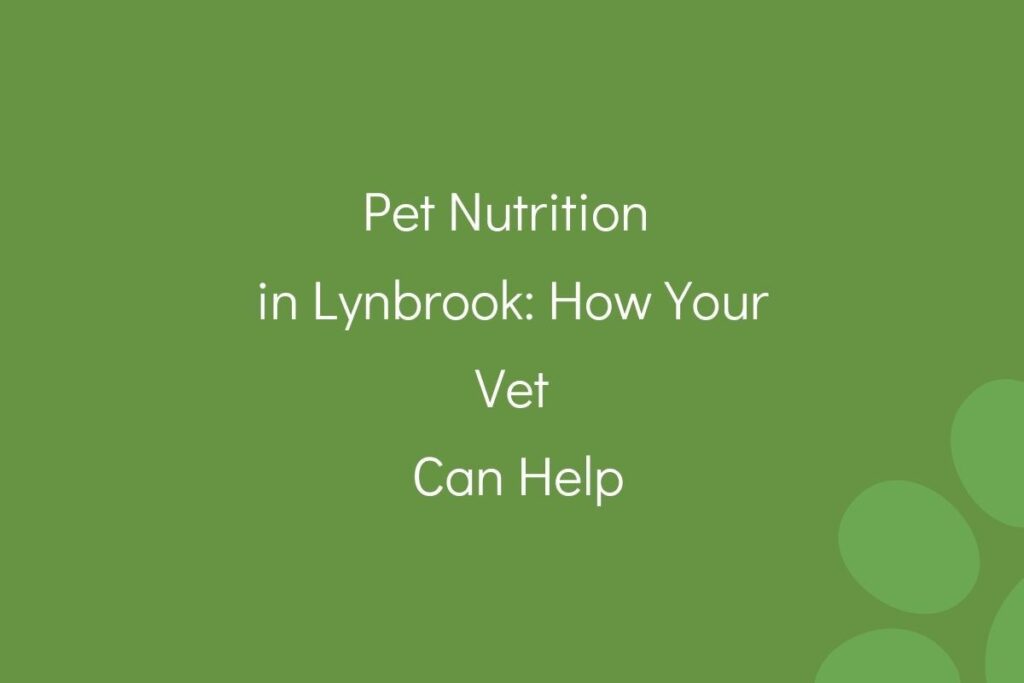 Text on green background about pet nutrition and veterinarian services in Lynbrook.
