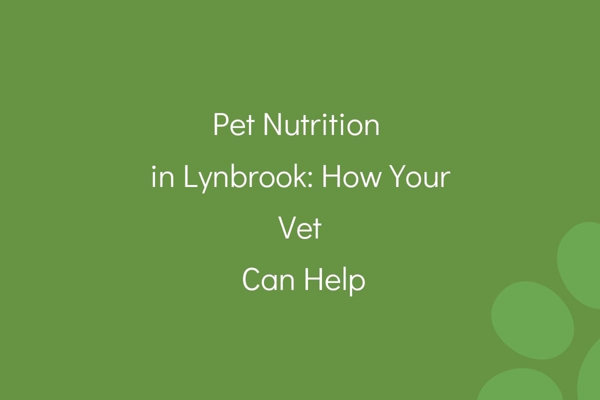 Text on green background about pet nutrition and veterinarian services in Lynbrook.