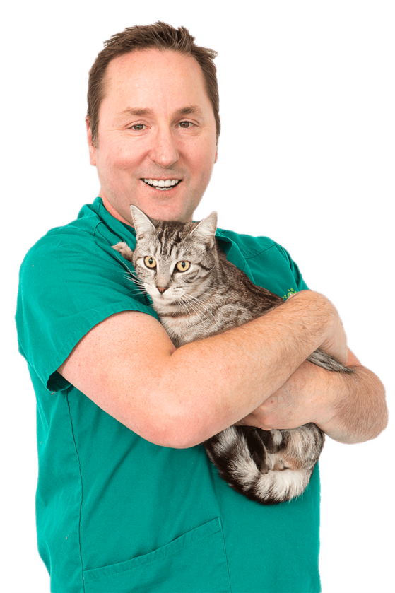 Man in green scrubs holding a grey tabby cat.