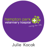 Logo of Hampton Park Veterinary Hospital featuring a green cross and the tagline "caring for life."