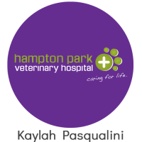 Logo of Hampton Park Veterinary Hospital with a green cross and tagline "caring for life."