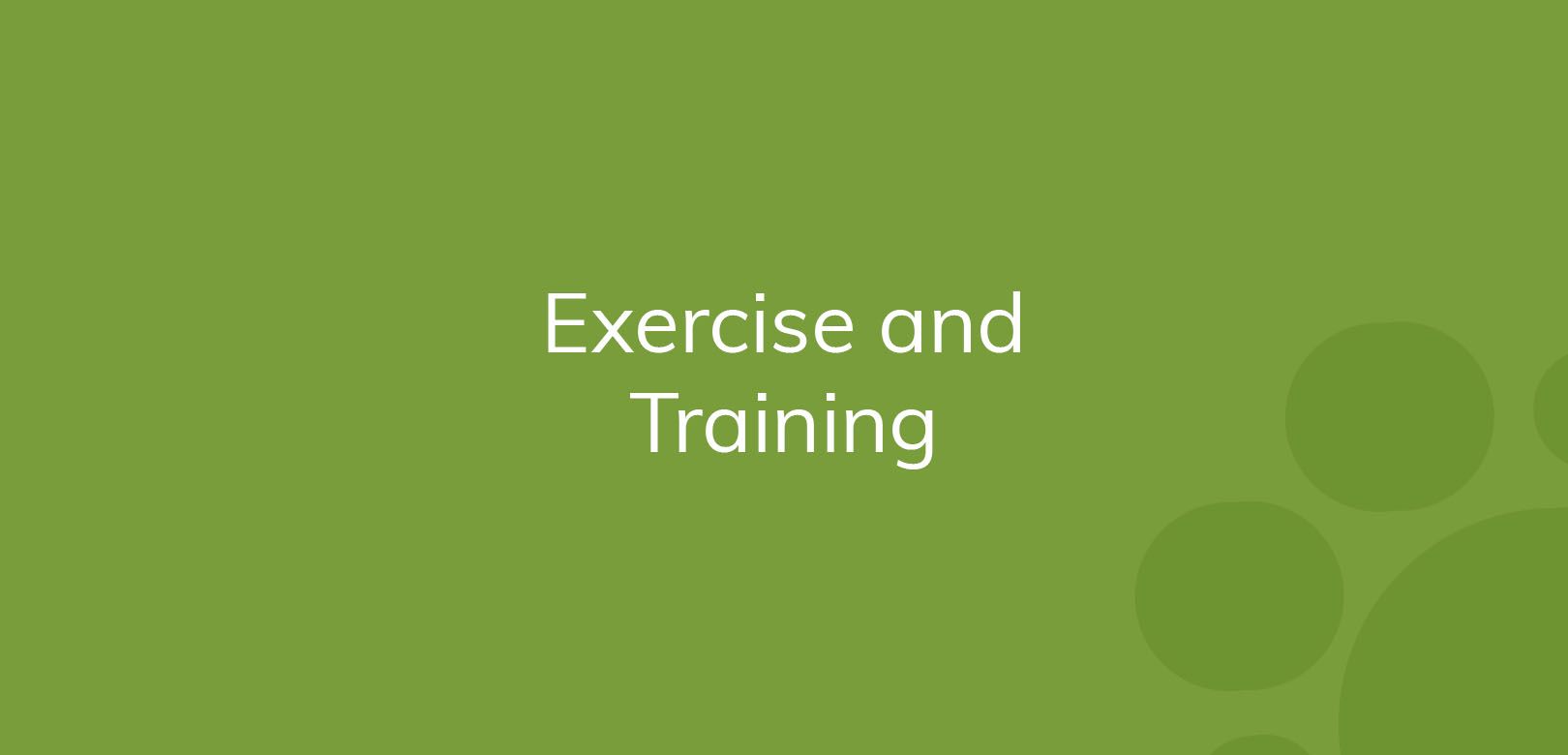 Green banner with "Exercise and Training" text and decorative circles.