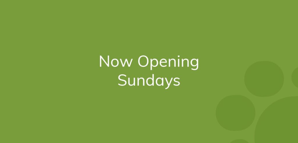 Text on green background reads "Now Opening Sundays."