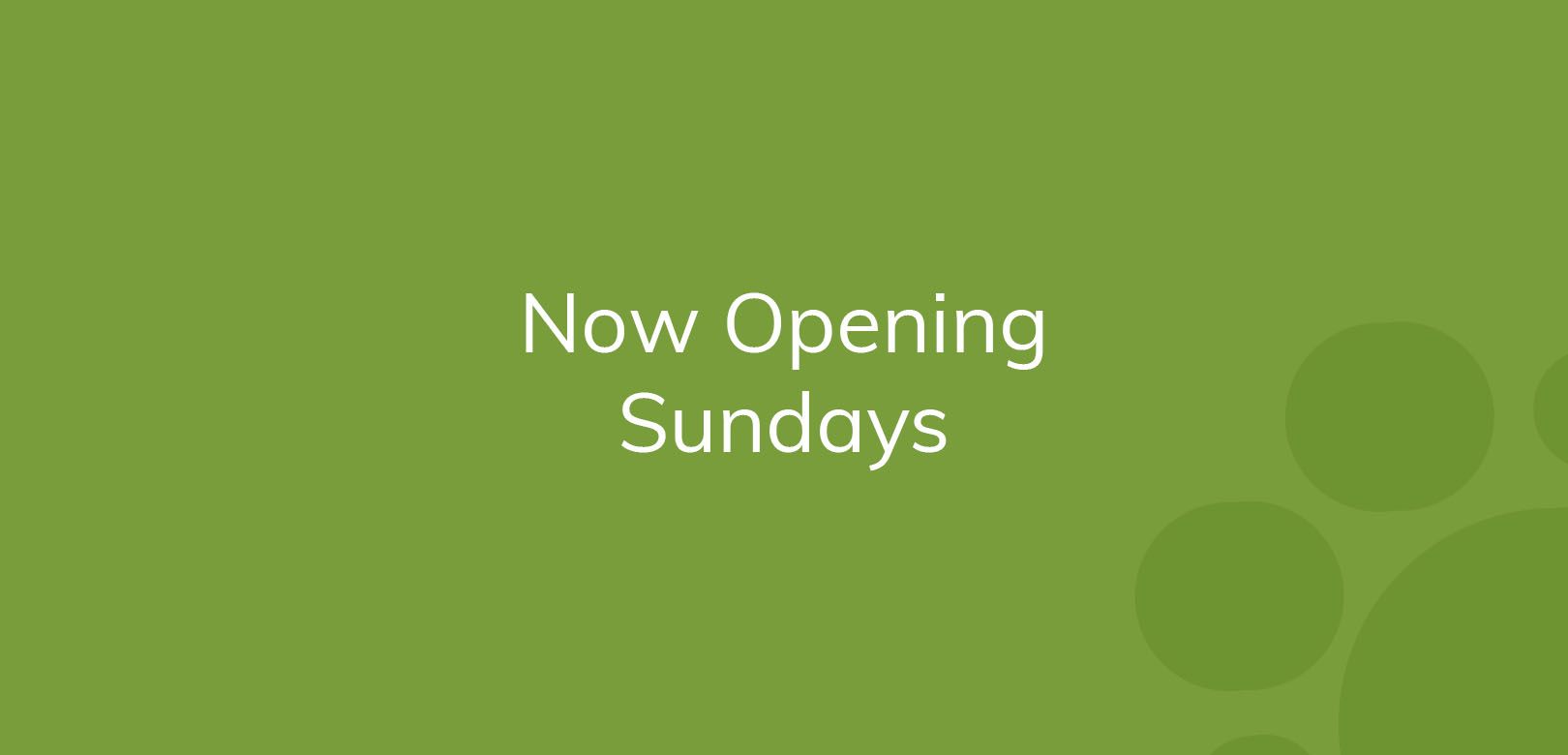 Text on green background reads "Now Opening Sundays."