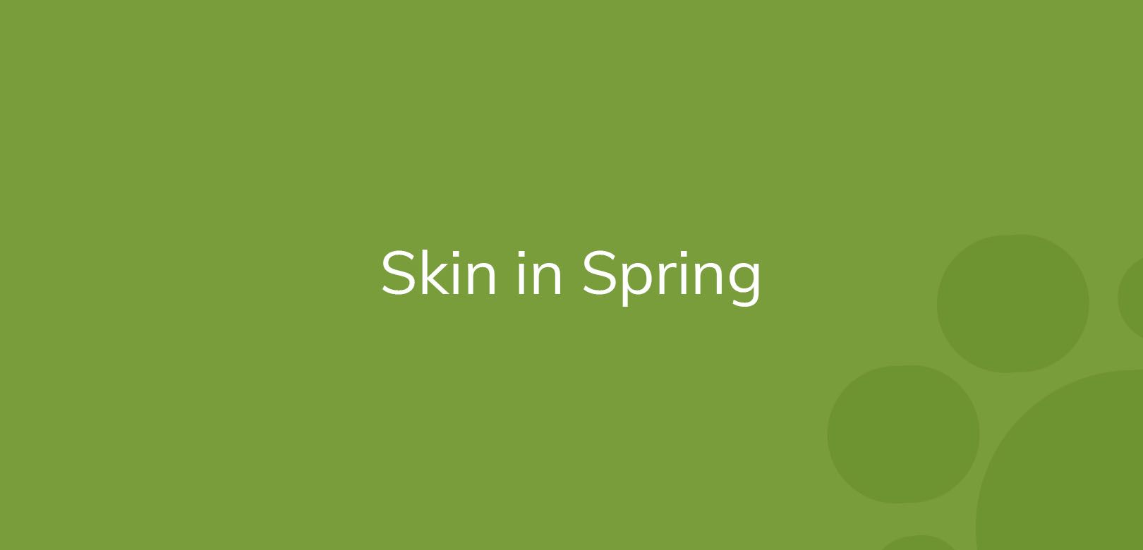 Text "Skin in Spring" displayed in white on a green background with decorative circles.