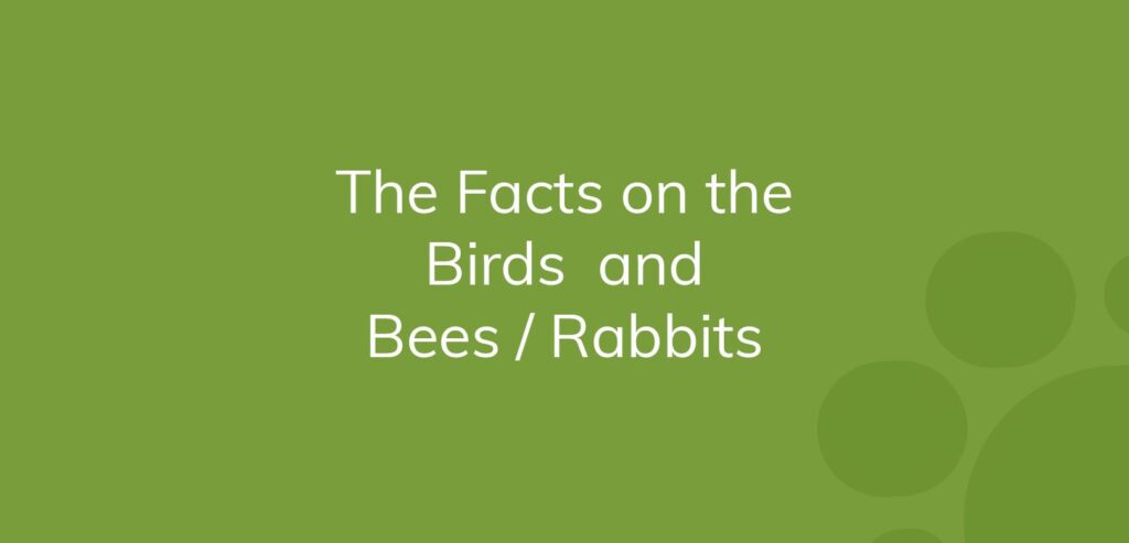 Text on a green background reading "The Facts on the Birds and Bees / Rabbits".
