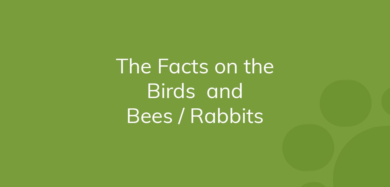 Text on a green background reading "The Facts on the Birds and Bees / Rabbits".