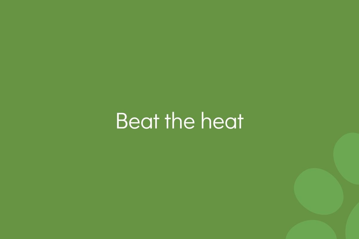 Text "Beat the heat" on a green background with circle patterns.