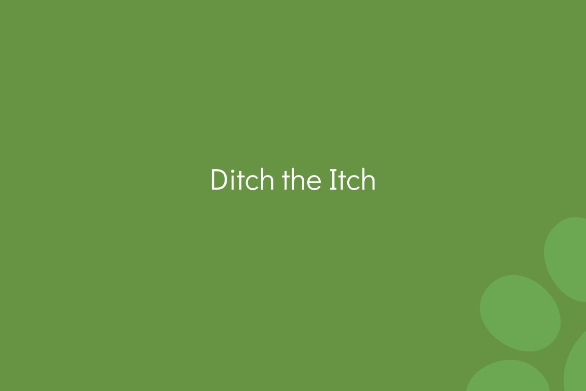 Text "Ditch the Itch" on a plain green background with light green circles.