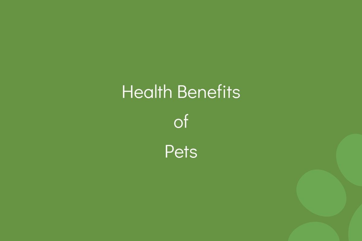 Text on green background reading "Health Benefits of Pets".