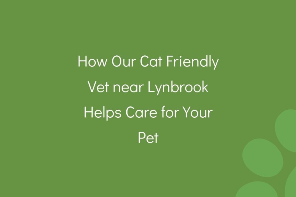 Text on green background about a cat-friendly vet near Lynbrook offering pet care.