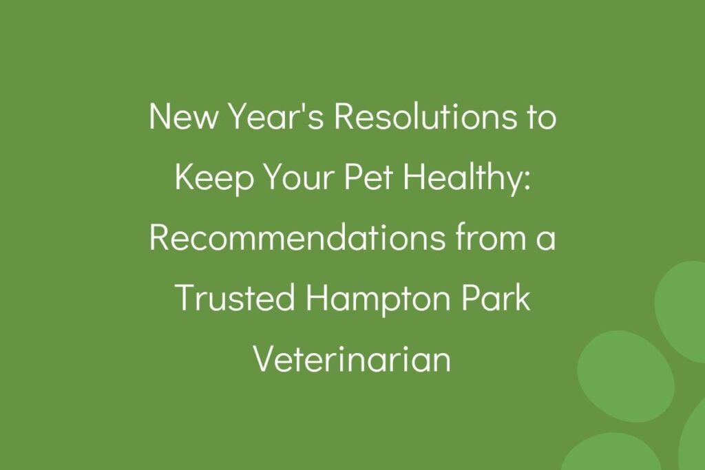 Text on green background suggesting New Year's resolutions for pet health by a Hampton Park veterinarian.