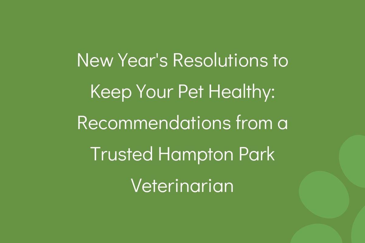 Text on green background suggesting New Year's resolutions for pet health by a Hampton Park veterinarian.