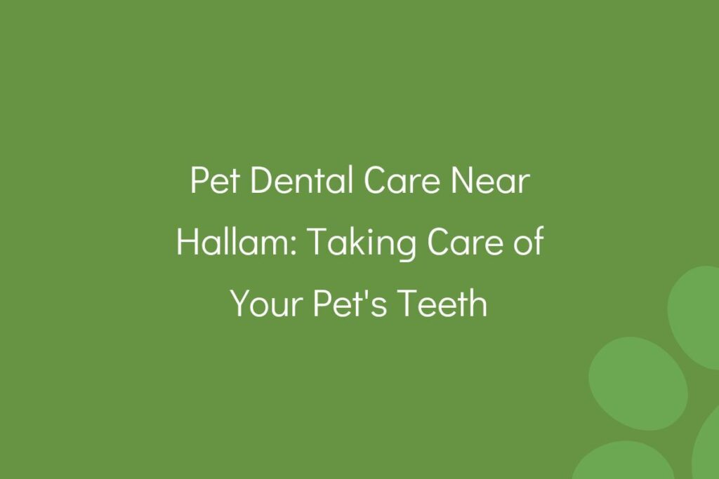 Text on green background about pet dental care in Hallam.