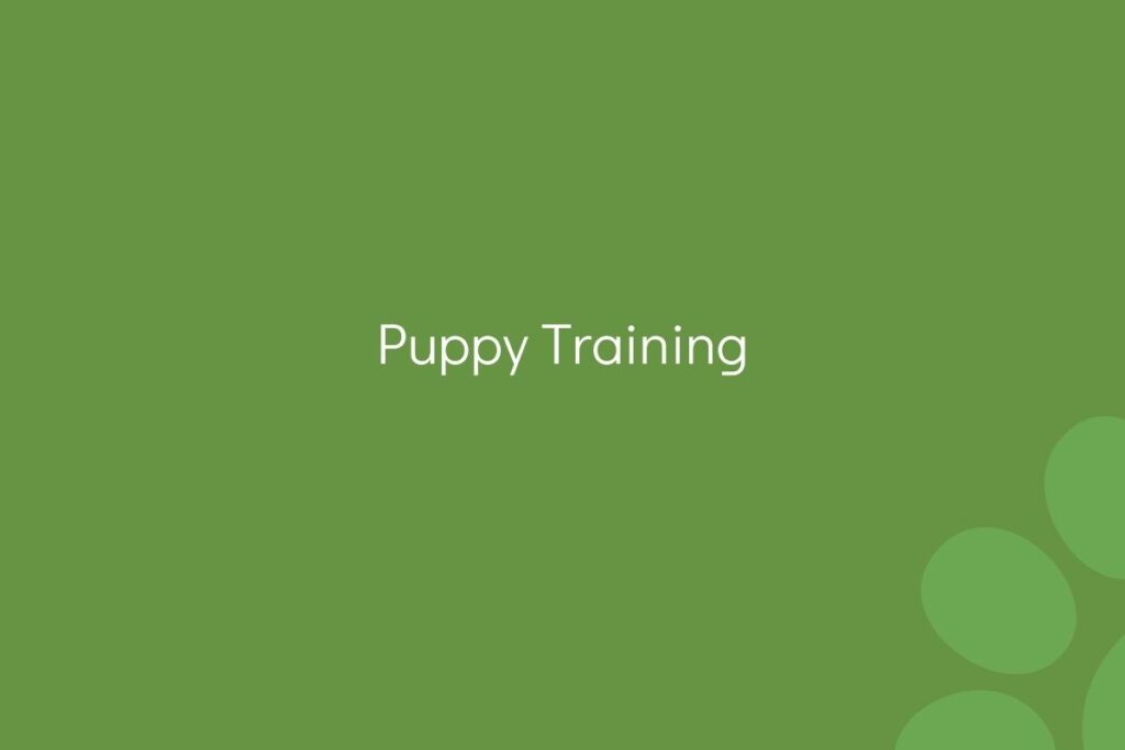 Text "Puppy Training" on a green background.