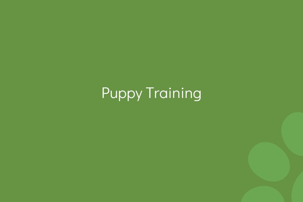 Text "Puppy Training" on a green background.