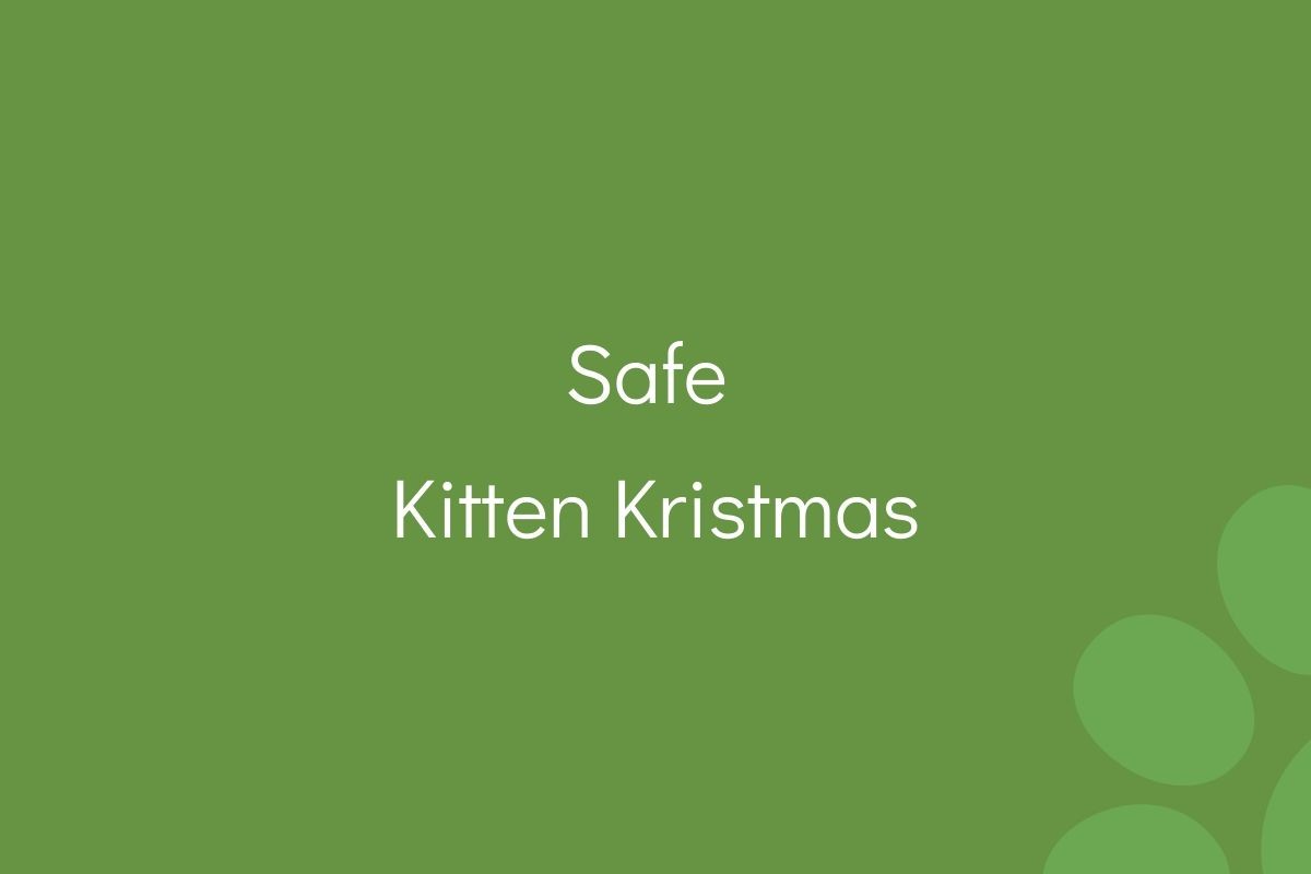 Text "Safe Kitten Kristmas" on a solid green background.