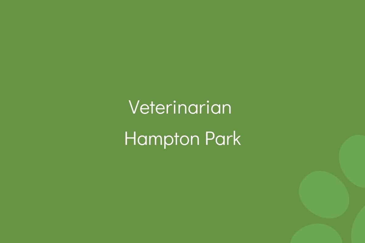 Text "Veterinarian Hampton Park" on a plain green background with lighter green circles.