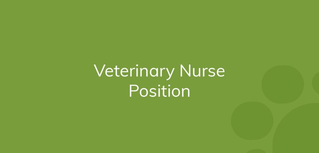 Text on a green background reads "Veterinary Nurse Position."