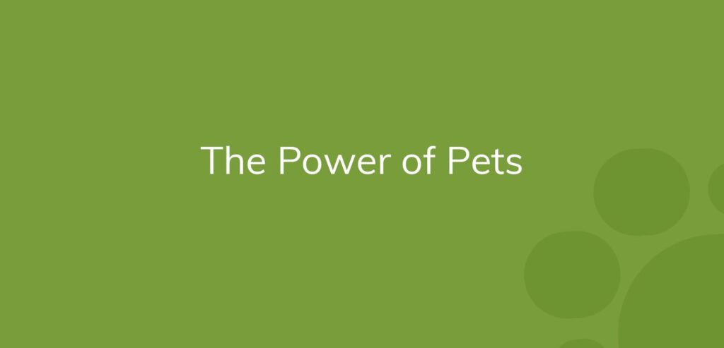 Text "The Power of Pets" on a solid green background with light circles.