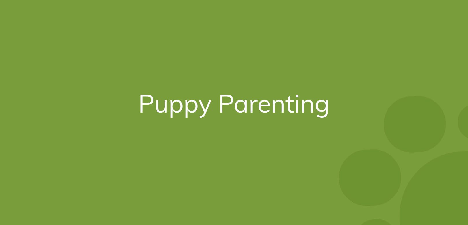 Green background with the text "Puppy Parenting" in white.