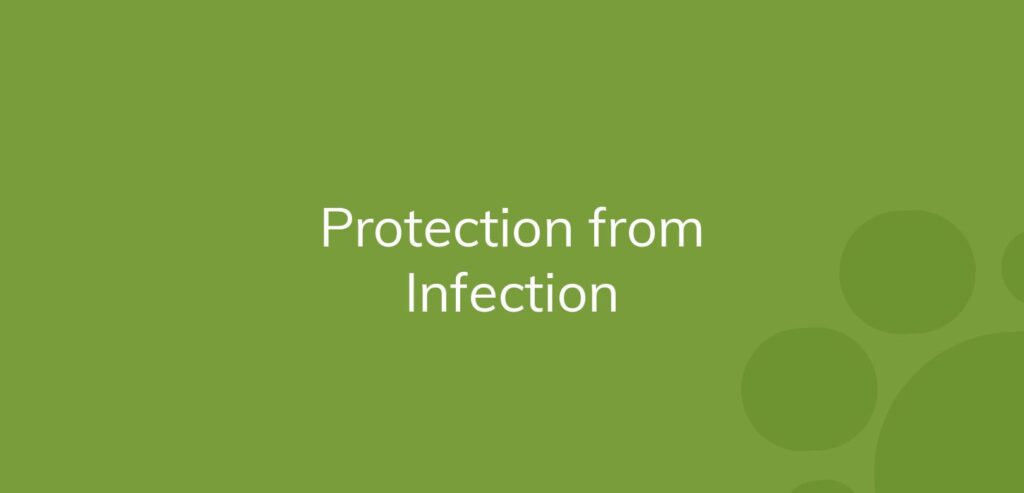 Text "Protection from Infection" on a solid green background with lighter circles.