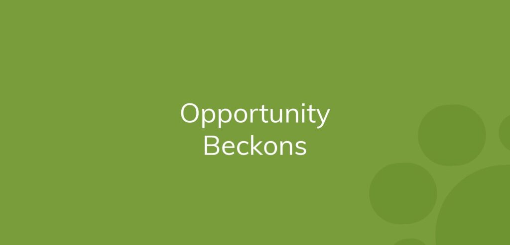 Text "Opportunity Beckons" on a solid green background with faint circles.
