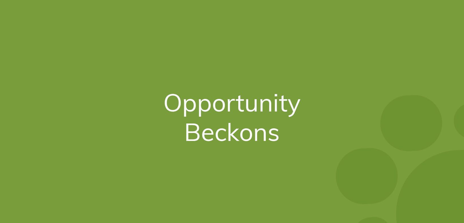 Text "Opportunity Beckons" on a solid green background with faint circles.
