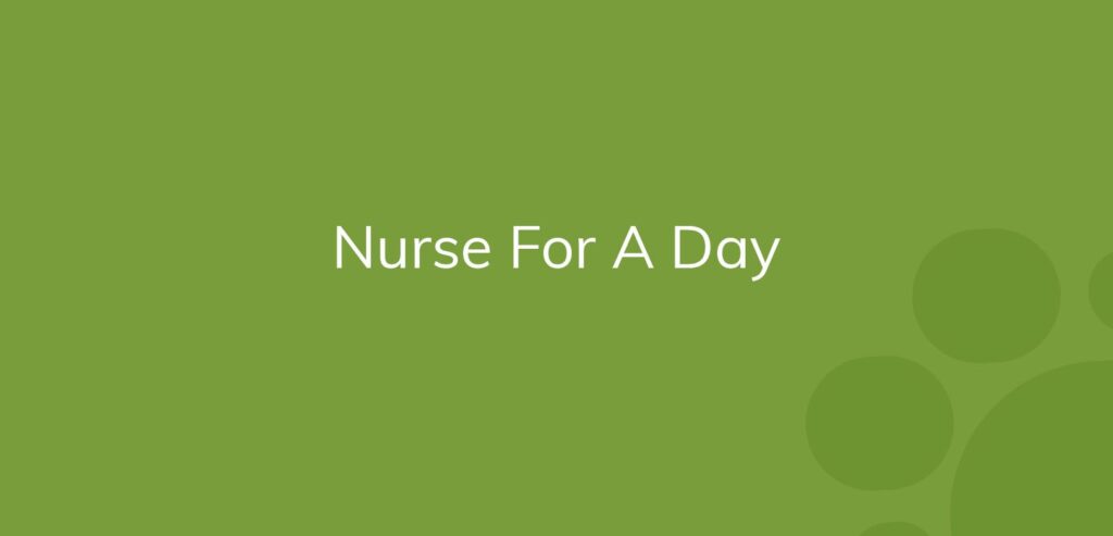 Text "Nurse For A Day" on a solid green background with bubble design elements.