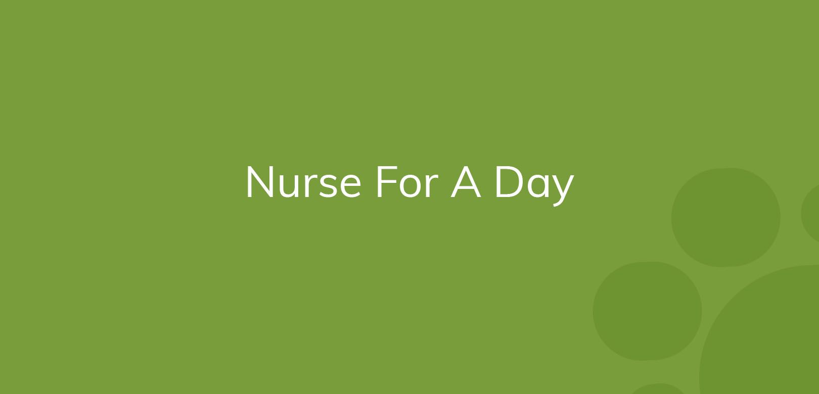 Text "Nurse For A Day" on a solid green background with bubble design elements.