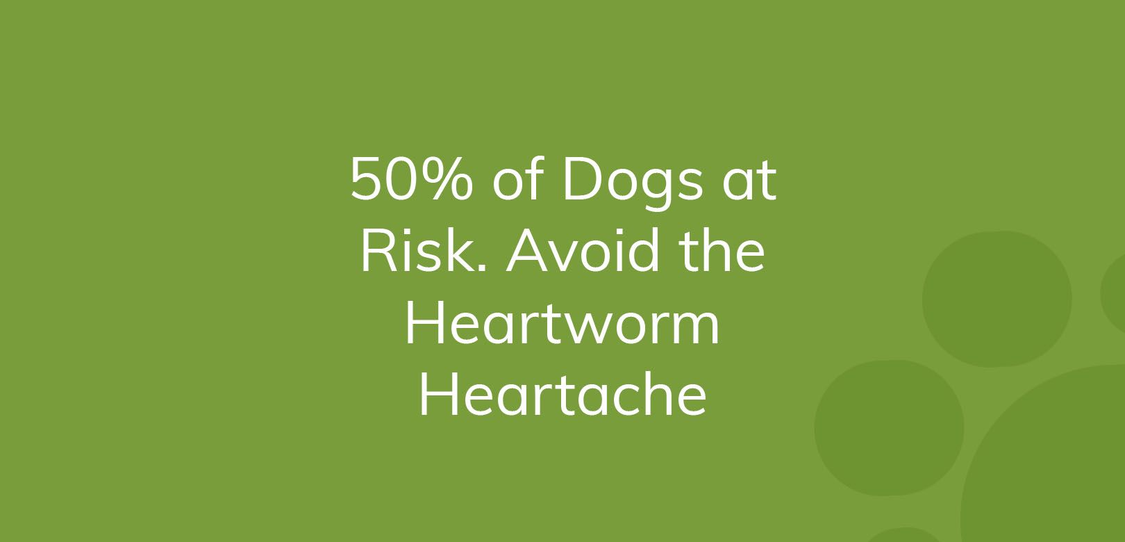 Green graphic with text emphasizing heartworm risk in 50% of dogs and the importance of prevention.