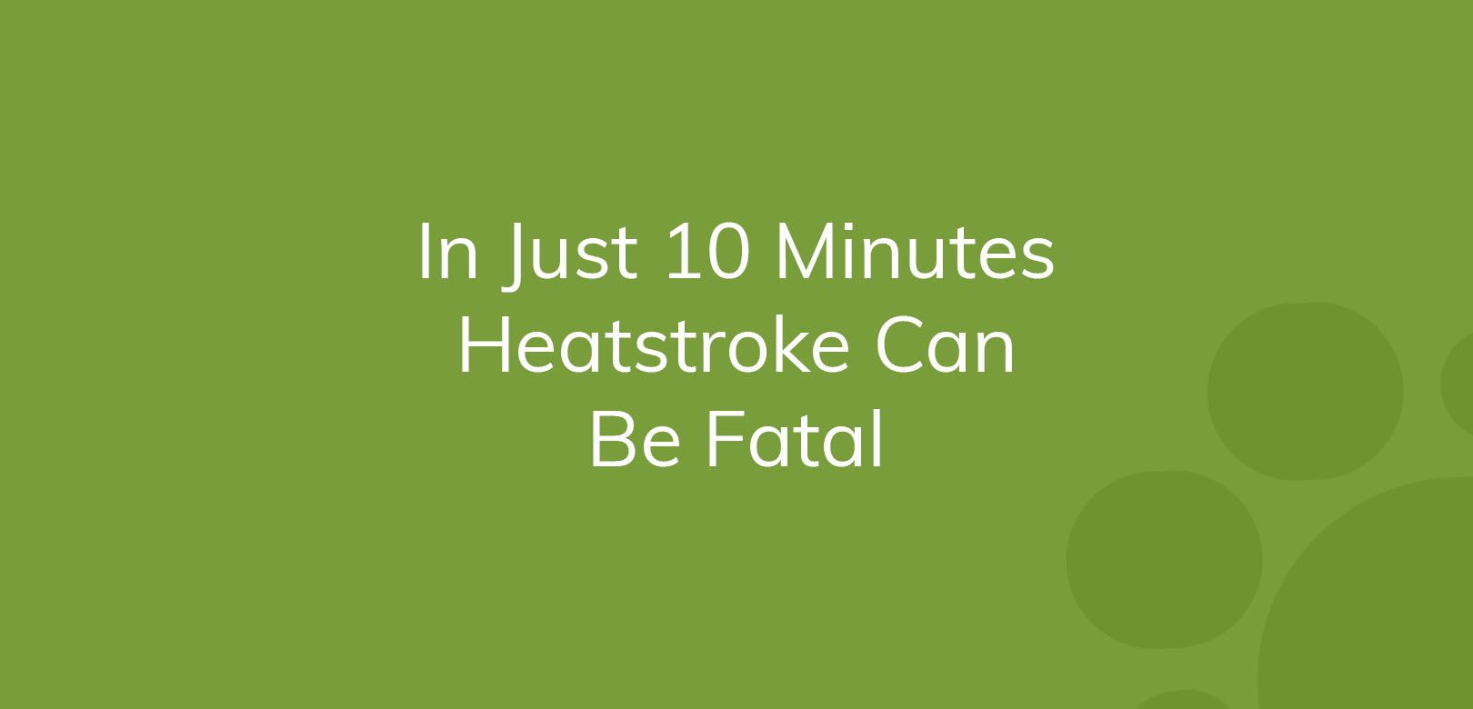 Text on green background warning that heatstroke can be fatal in just 10 minutes.