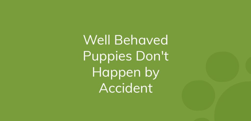 Text "Well Behaved Puppies Don't Happen by Accident" on a green background.