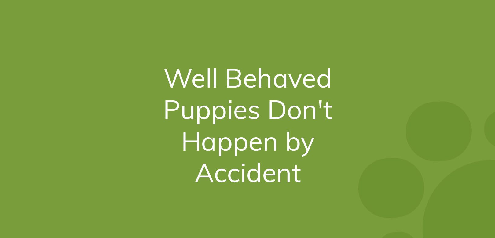 Text "Well Behaved Puppies Don't Happen by Accident" on a green background.