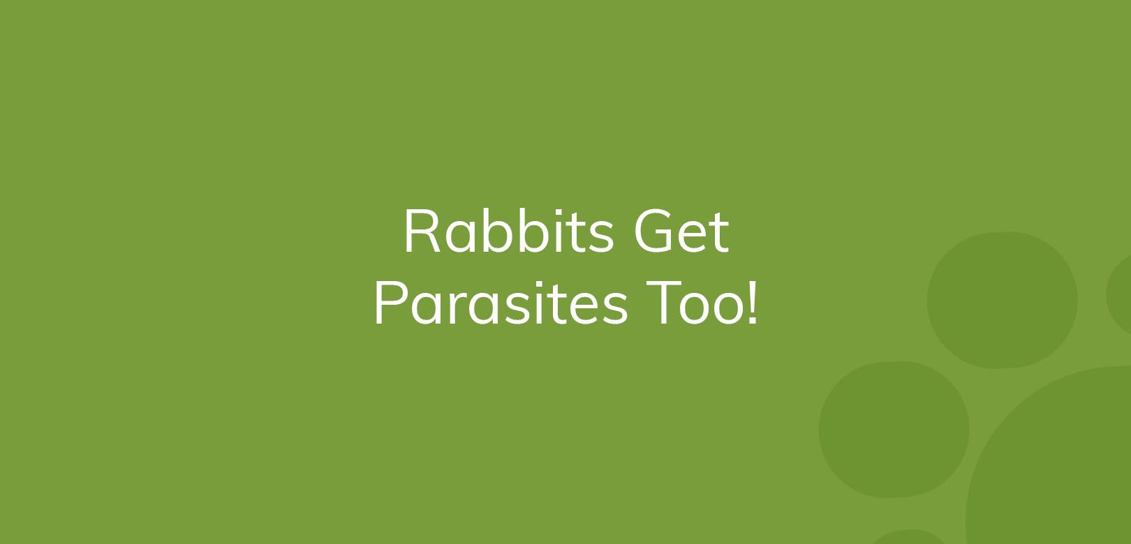 Green background with text "Rabbits Get Parasites Too!" in white letters.