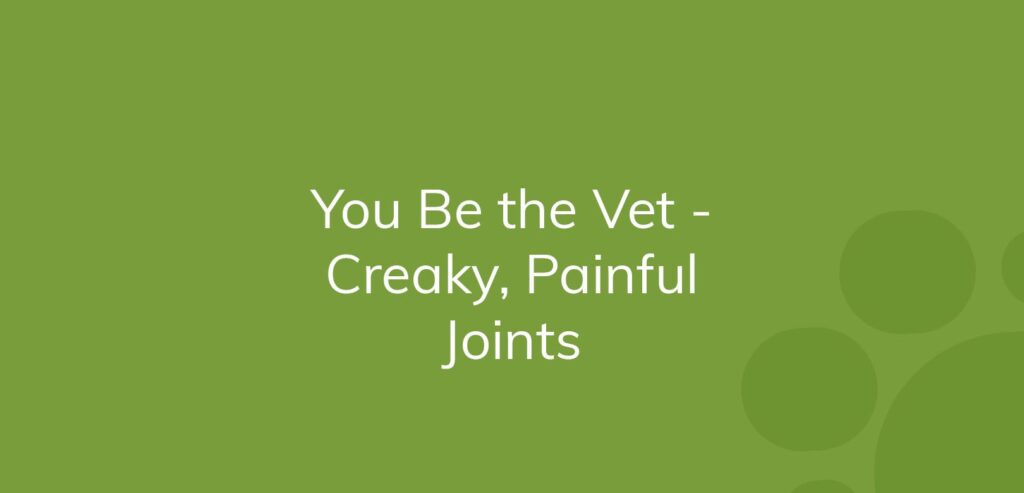 Text "You Be the Vet - Creaky, Painful Joints" on a green background.