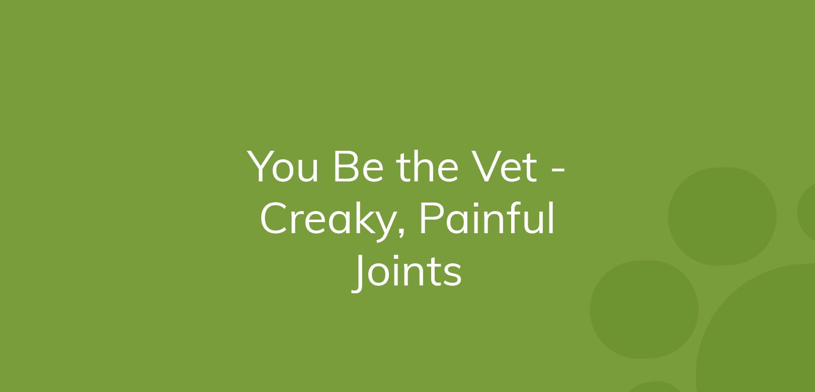 Text "You Be the Vet - Creaky, Painful Joints" on a green background.