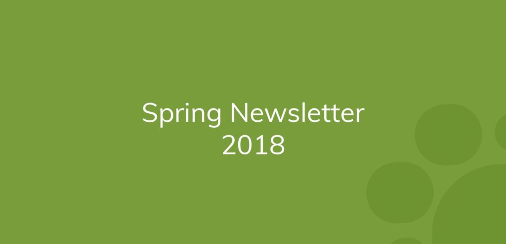 Text "Spring Newsletter 2018" on a green background with circle patterns.