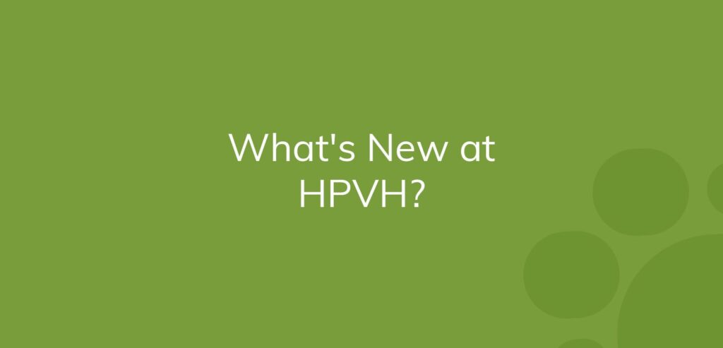 Text on green background reading "What's New at HPVH?"