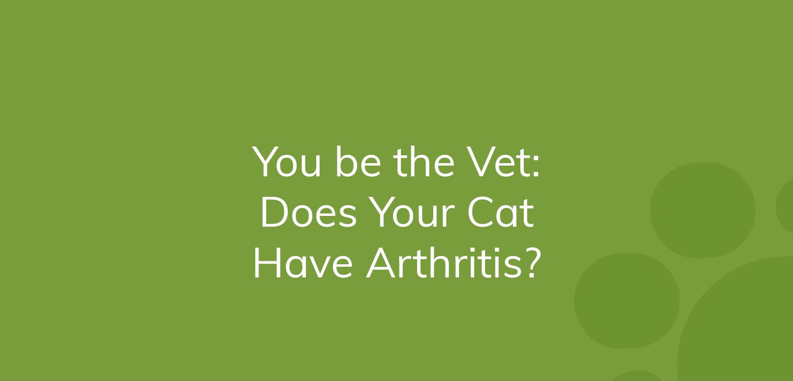 Green graphic with text "You be the Vet: Does Your Cat Have Arthritis?"