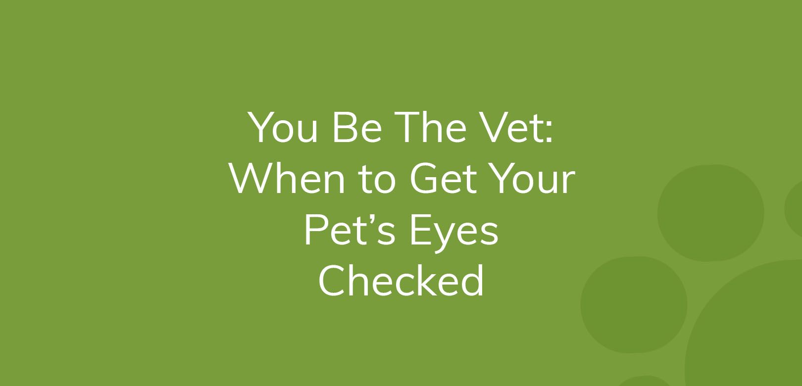 Text on green background says "You Be The Vet: When to Get Your Pet’s Eyes Checked".